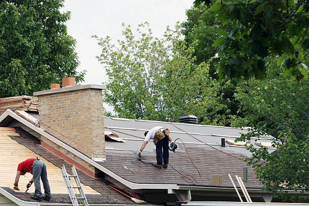 Best Metal Roofing Contractor  in Folly Beach, SC